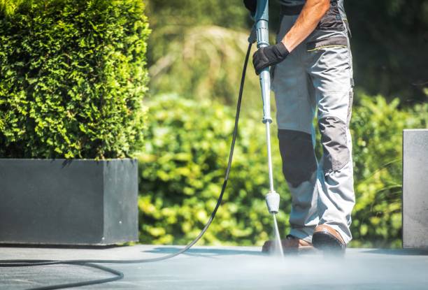Best Solar Panel Cleaning  in Richwood, TX